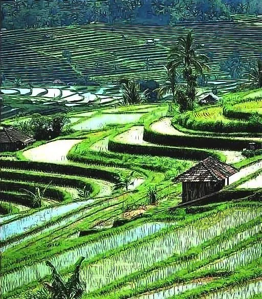 Villa Besok Seminyak Indonésia